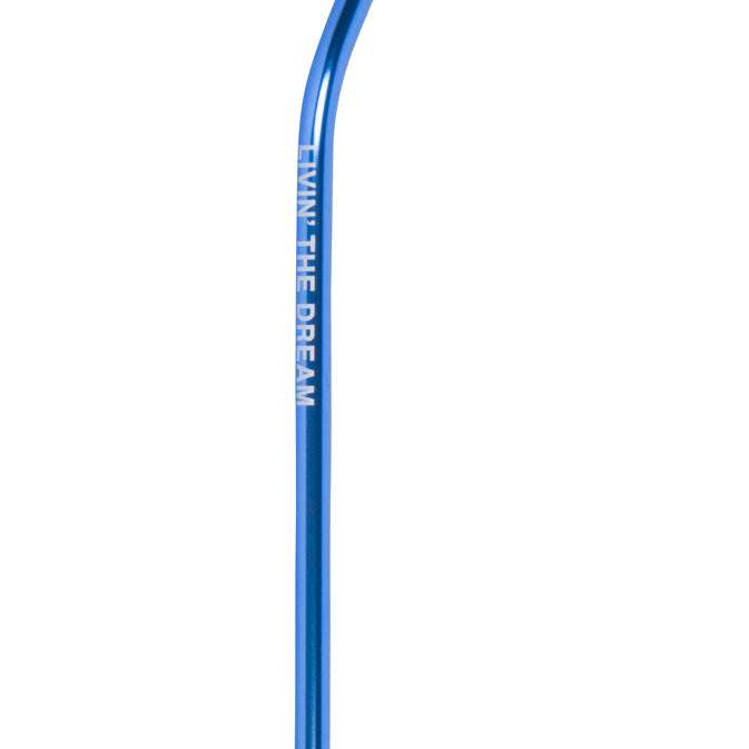 LIVIN' THE DREAM REUSABLE STRAW