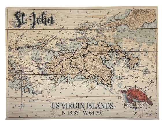 PLANK WOODEN MAP WITH COORDINATES & SEA TURTLE