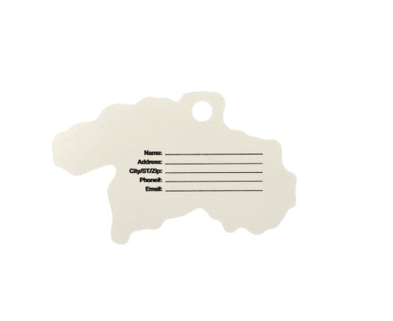 LIVIN' THE DREAM LUGGAGE TAG