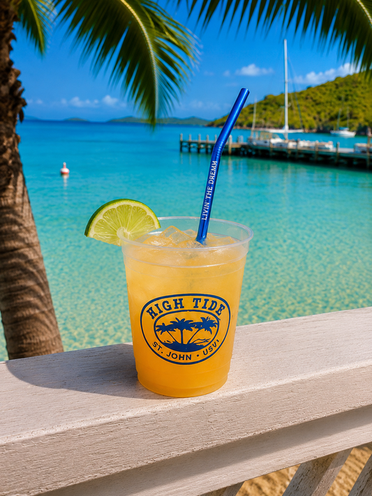 LIVIN' THE DREAM REUSABLE STRAW