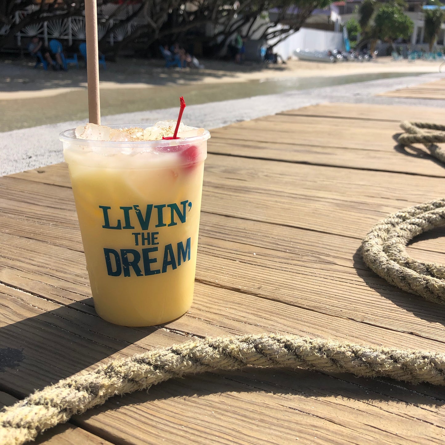 HIGH TIDE PARTY CUPS