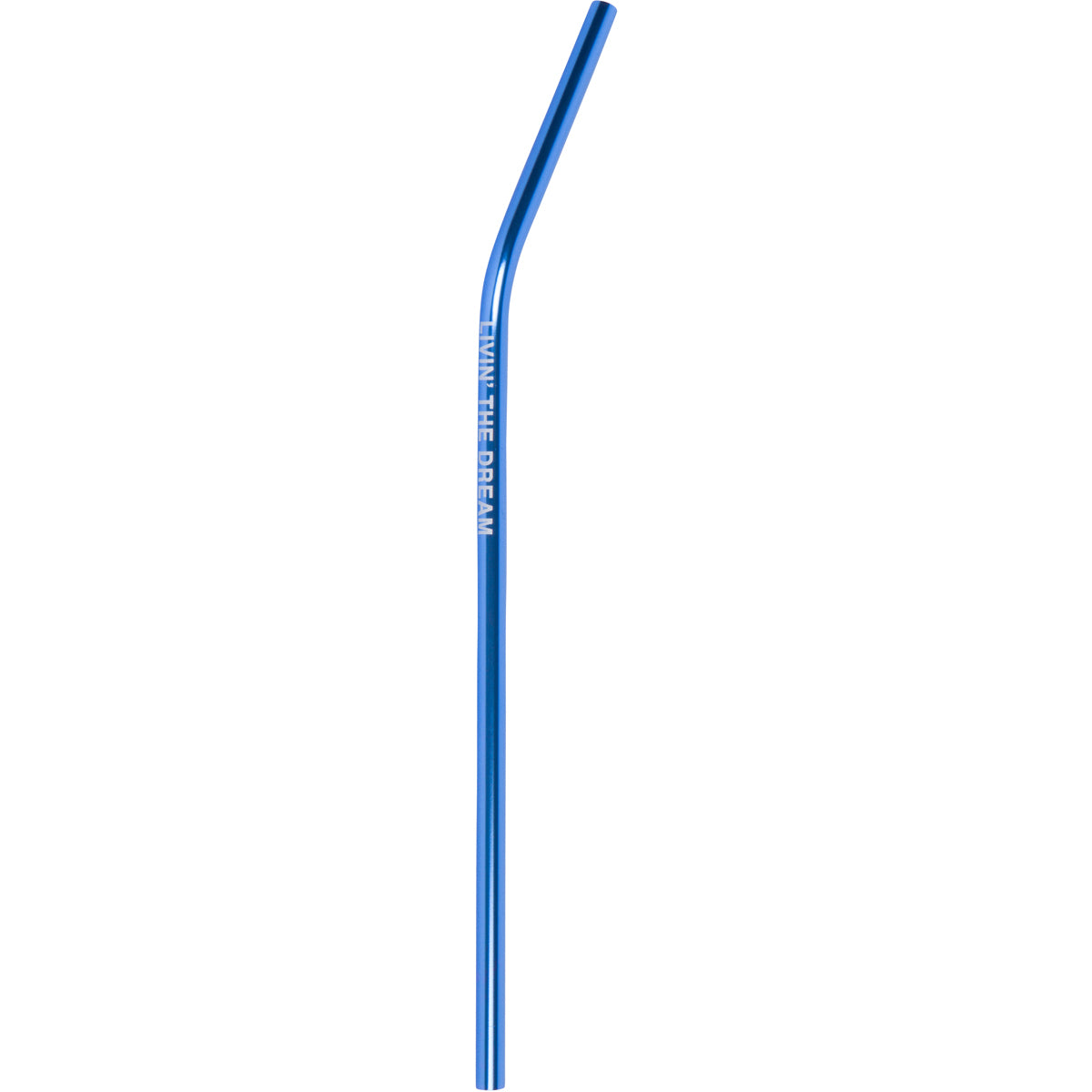 LIVIN' THE DREAM REUSABLE STRAW