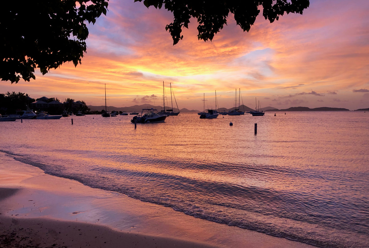 HIGH TIDE POSTCARDS